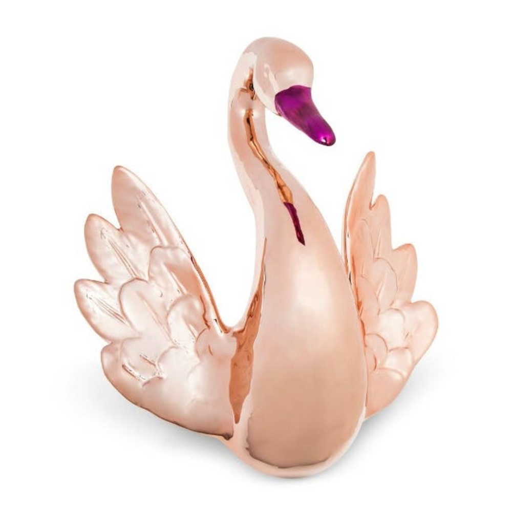 Swan Headwall by Oh Joy!